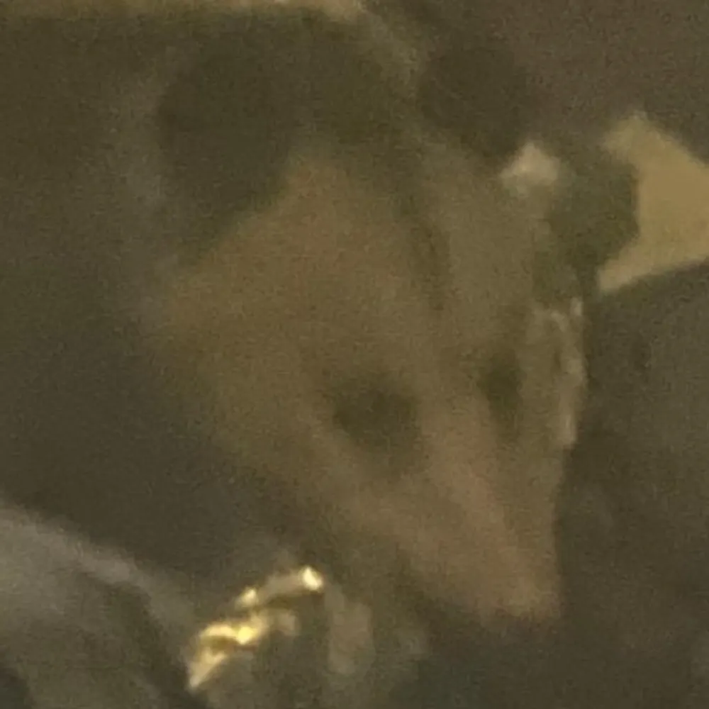 dumbgreentrash.bsky.social's profile picture