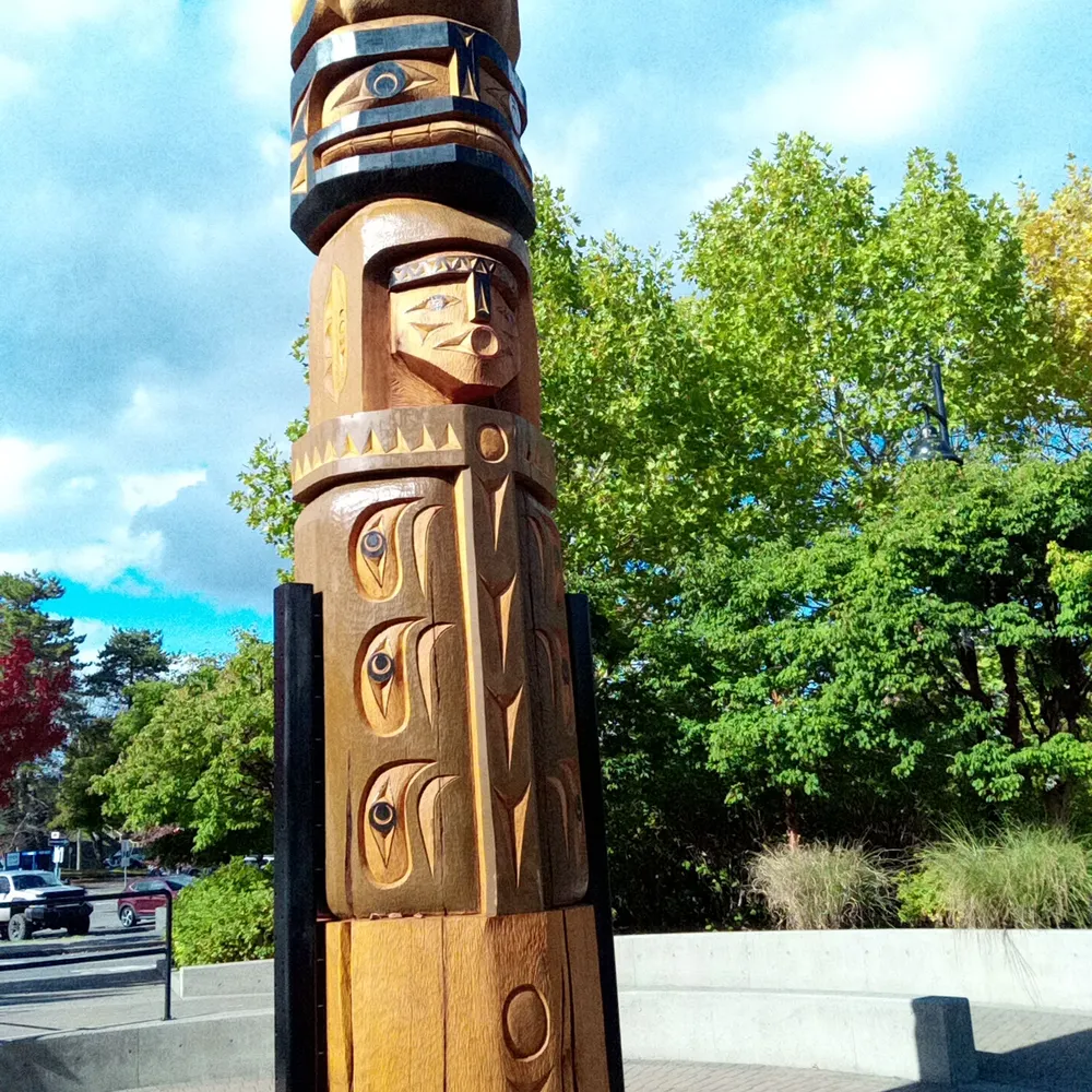 djb100.bsky.social's profile picture