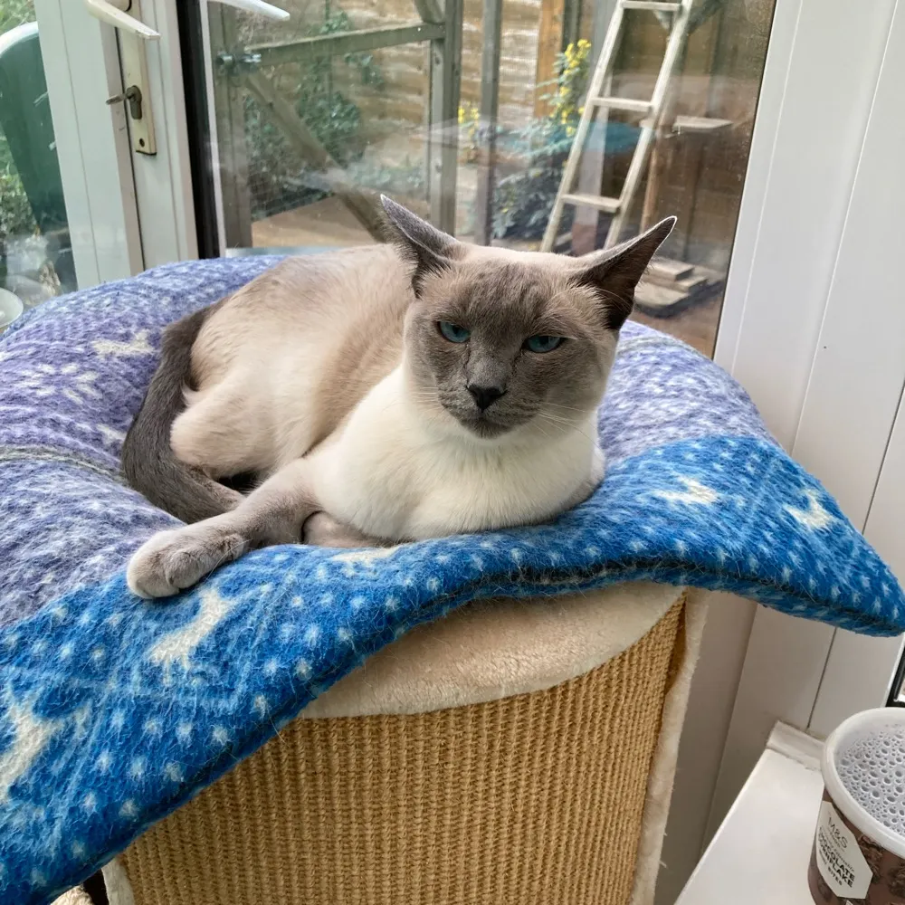 mayaand33.bsky.social's profile picture