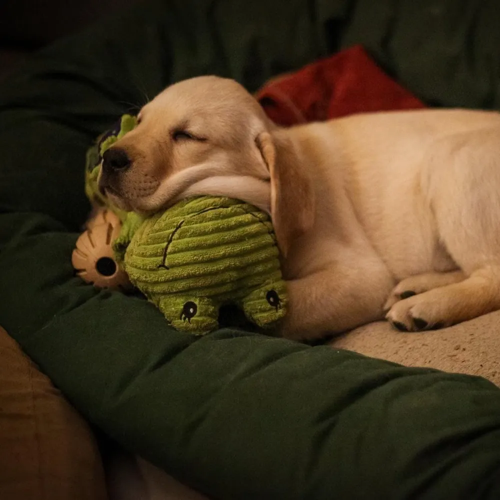 jackofallthumbs.bsky.social's profile picture