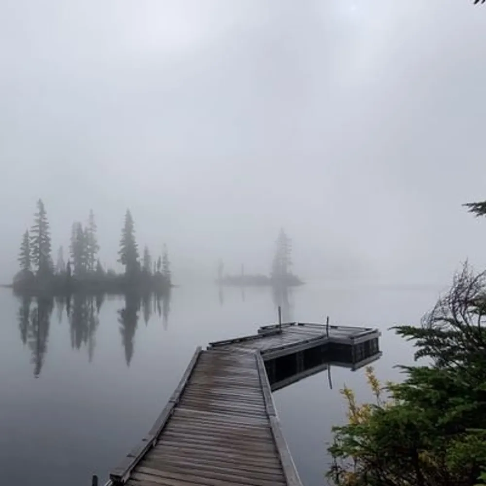 shawniganlaker.bsky.social's profile picture