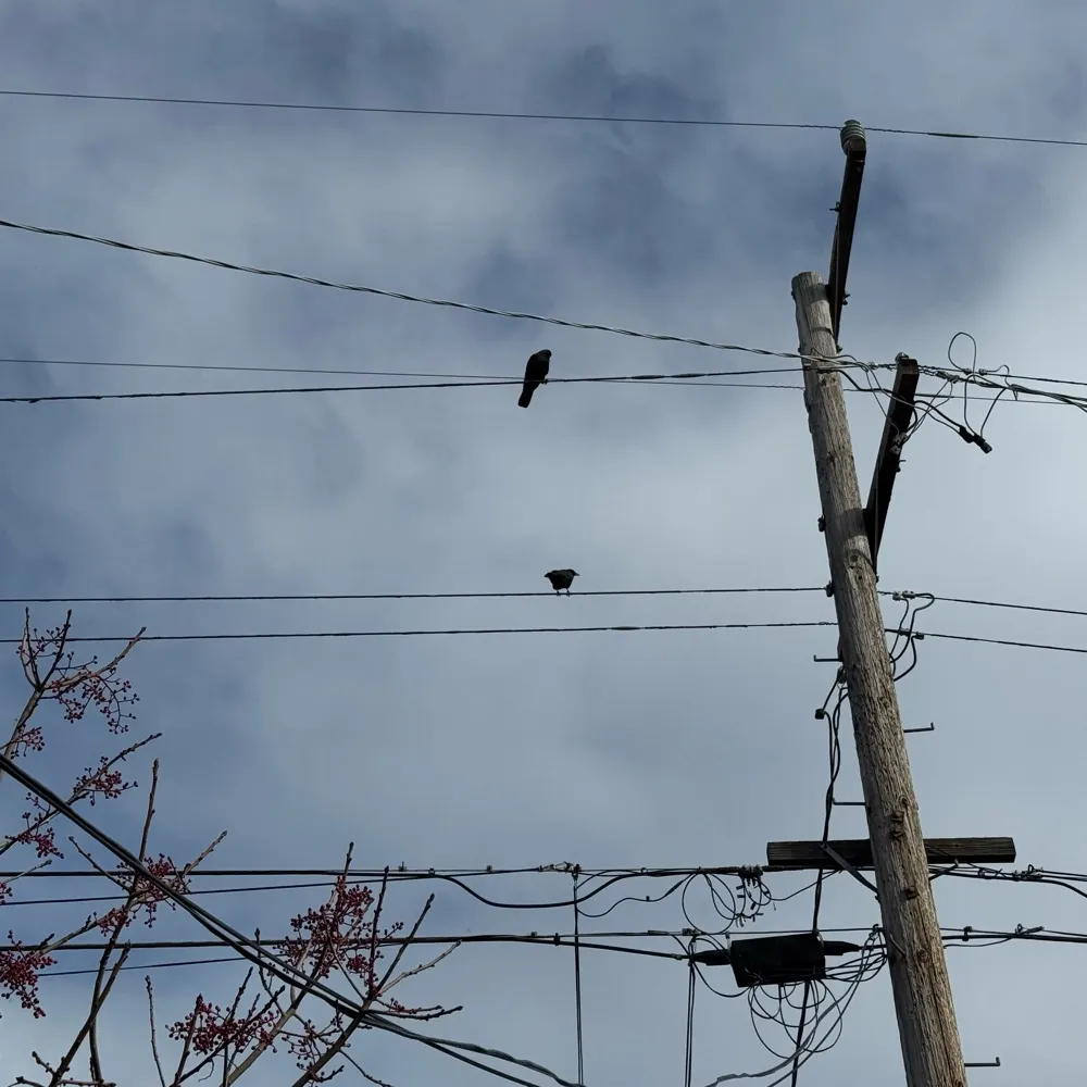 lskywalter.bsky.social's profile picture