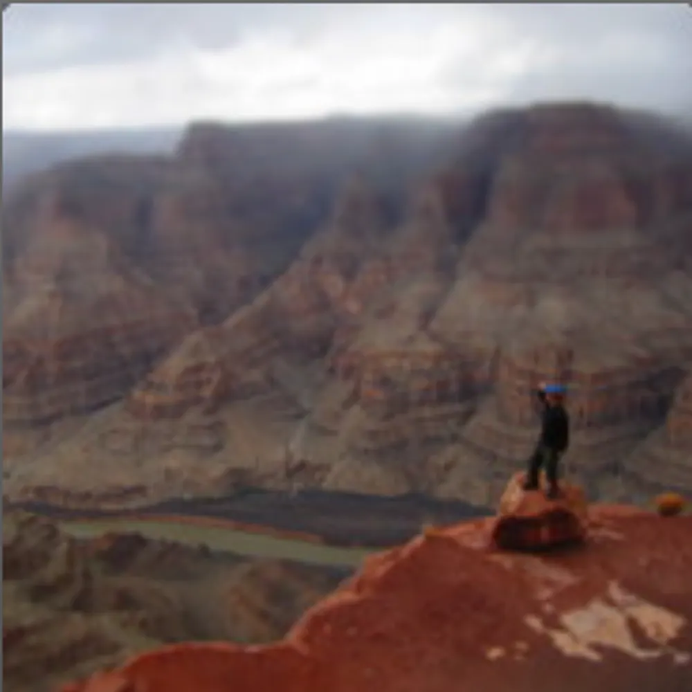 greeniteration.bsky.social's profile picture