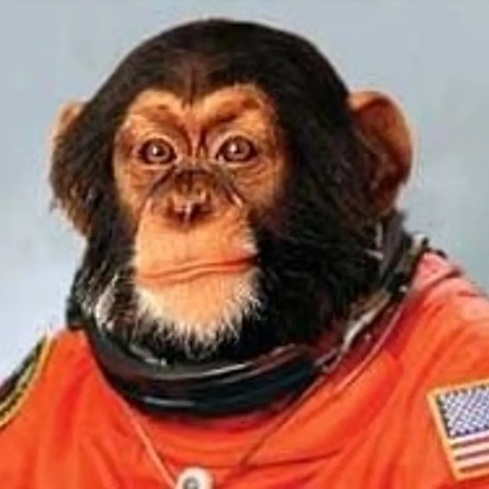 kennen11.bsky.social's profile picture