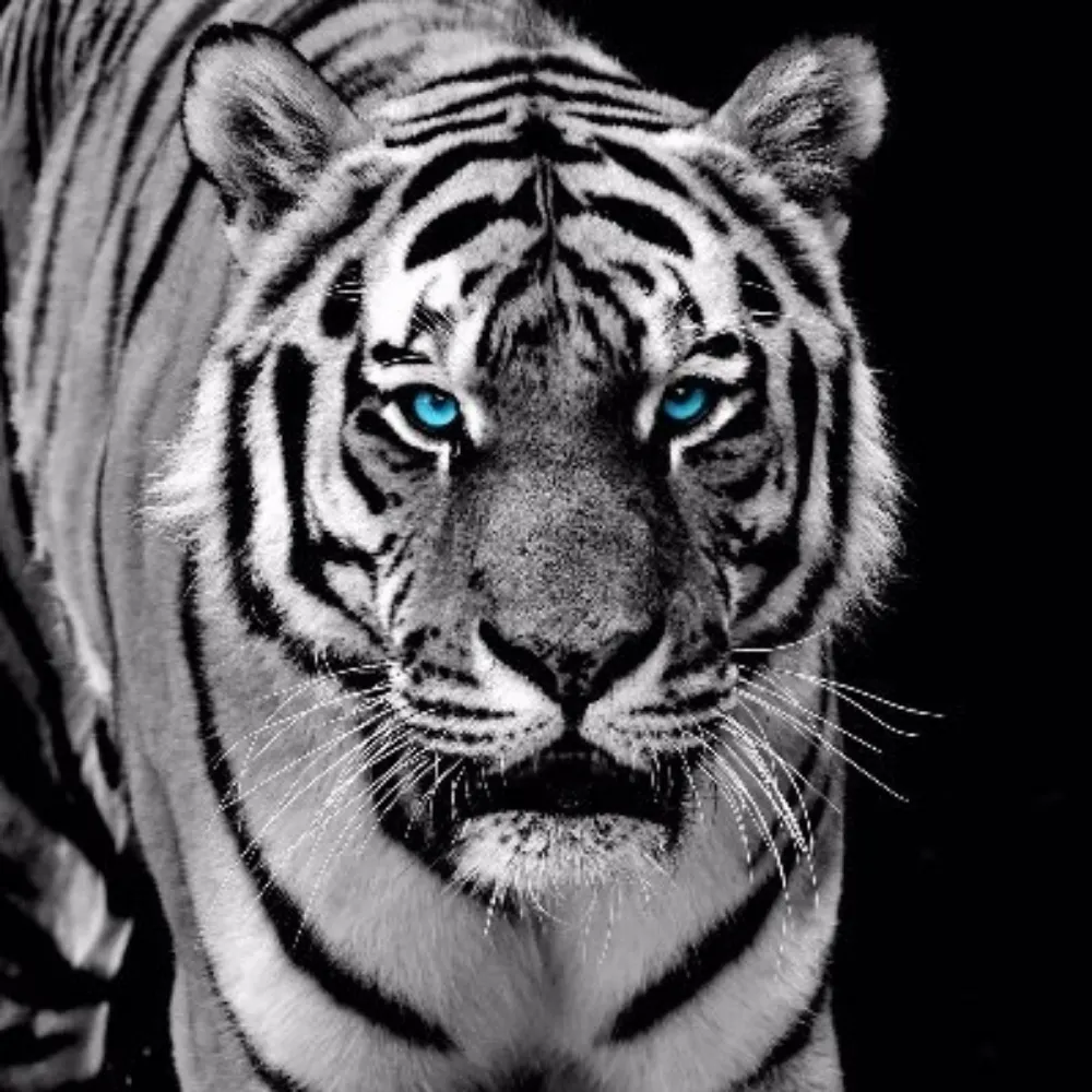 papootx.bsky.social's profile picture