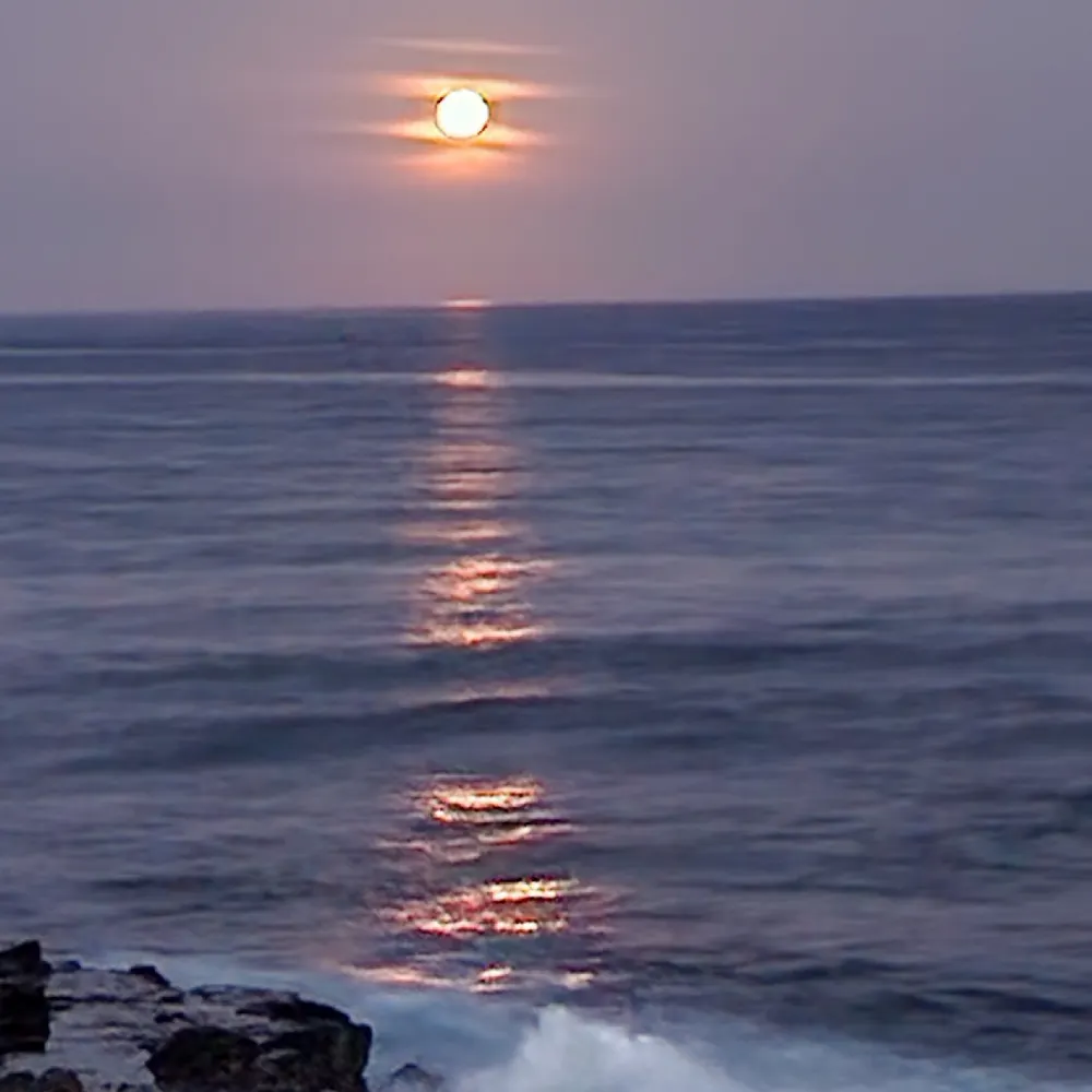 sdnixie.bsky.social's profile picture