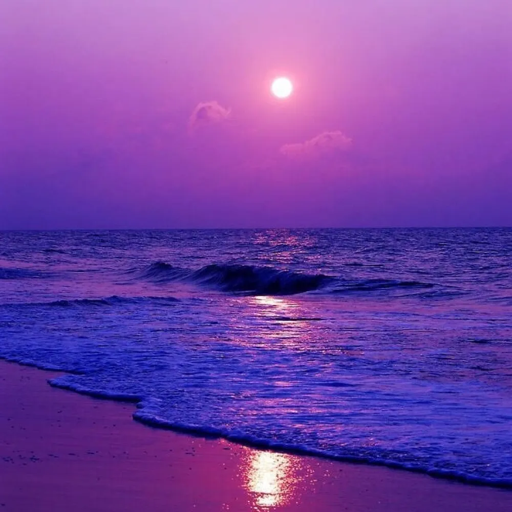 princefan-1.bsky.social's profile picture