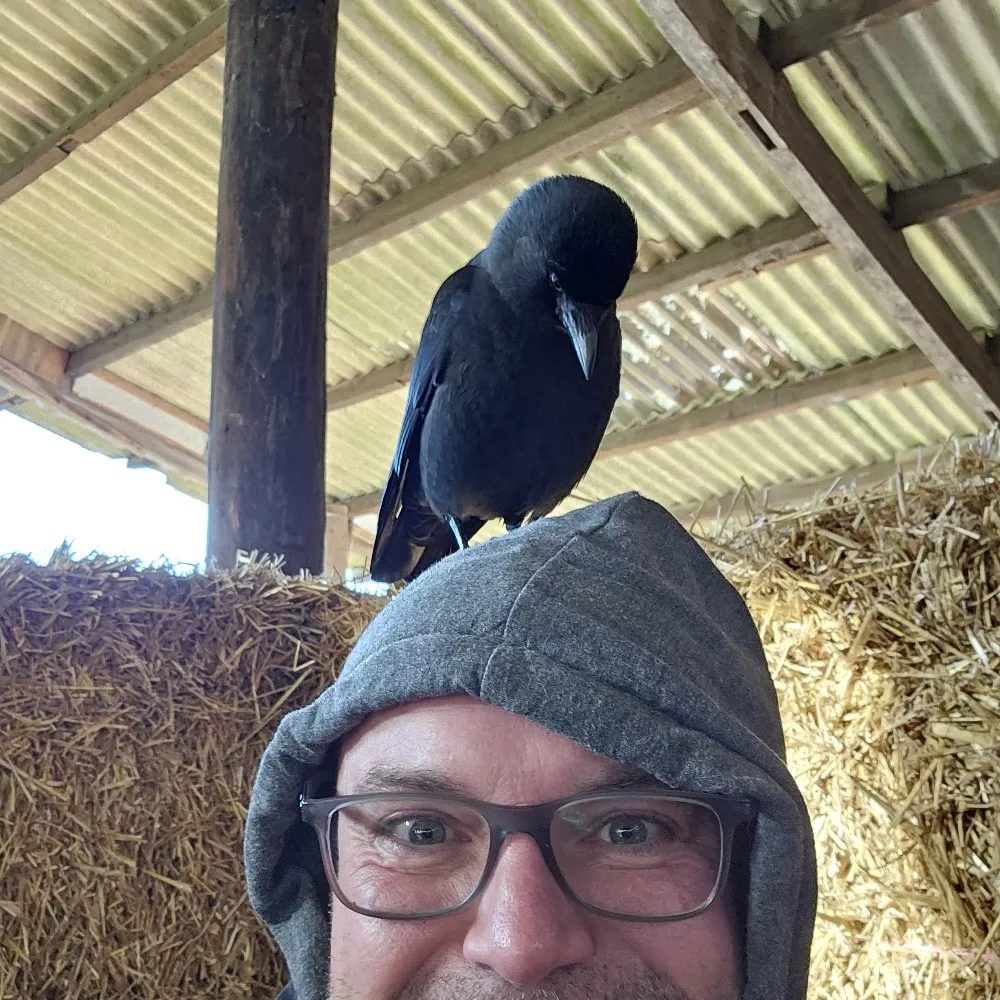 pep747.bsky.social's profile picture