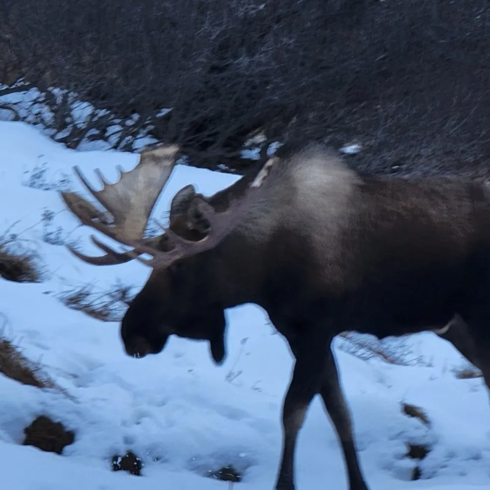 jim27182.bsky.social's profile picture