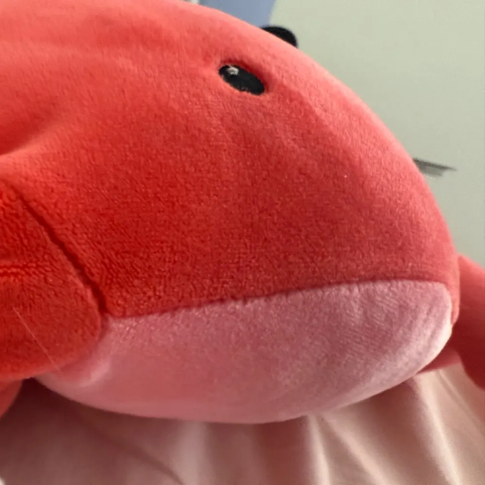 ellieberry.bsky.social's profile picture