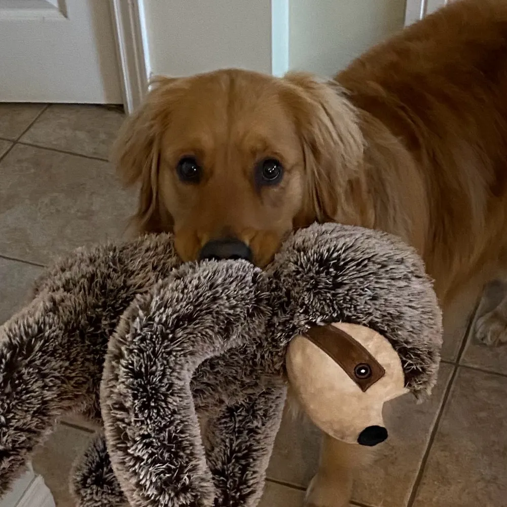 nbnewf.bsky.social's profile picture