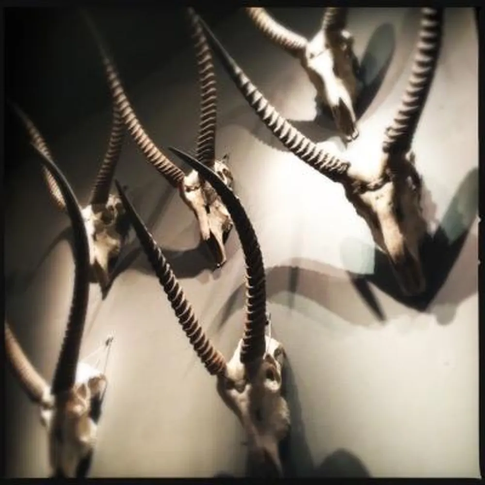 doomlobbyn.se's profile picture