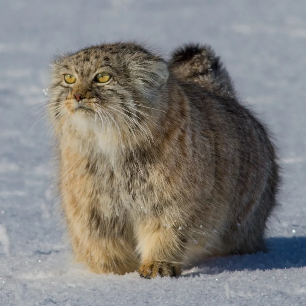 ohnowow.bsky.social's profile picture