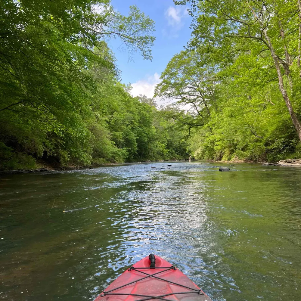 twesq.bsky.social's profile picture