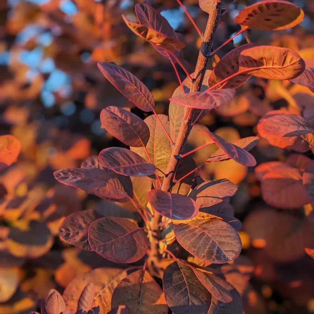 teegregg.bsky.social's profile picture