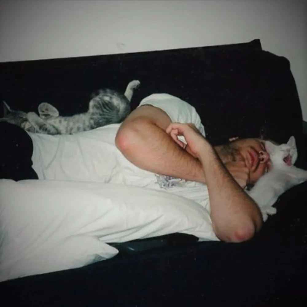 bdinunno.bsky.social's profile picture