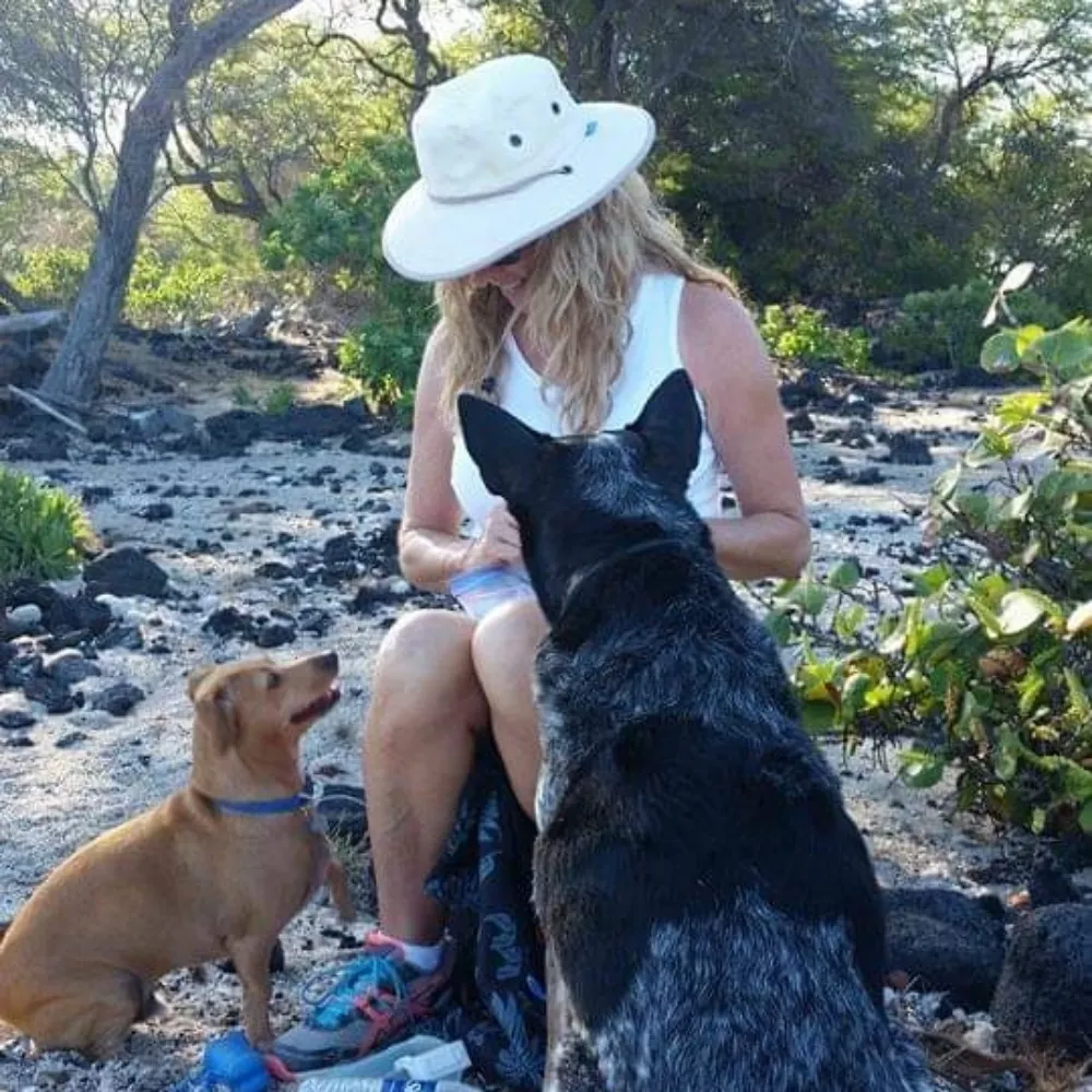 kimberlycal.bsky.social's profile picture