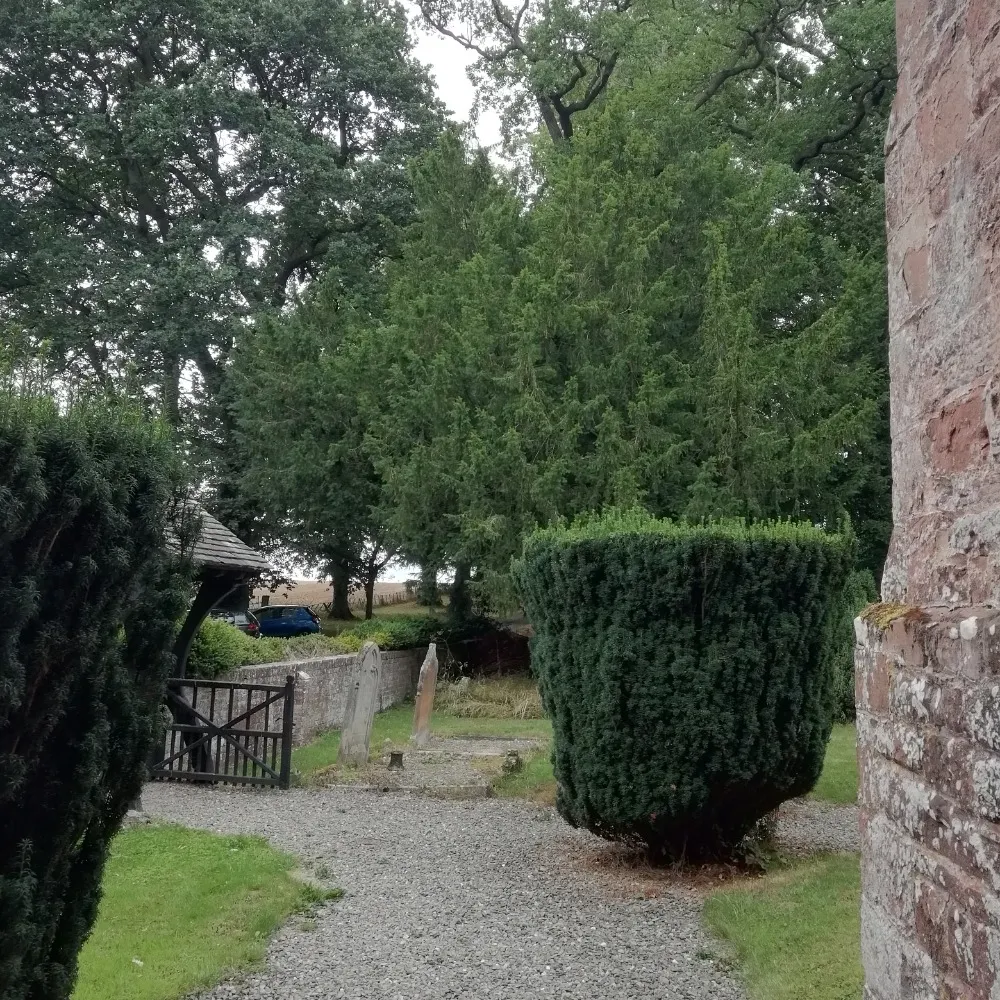 justagalandadog.bsky.social's profile picture