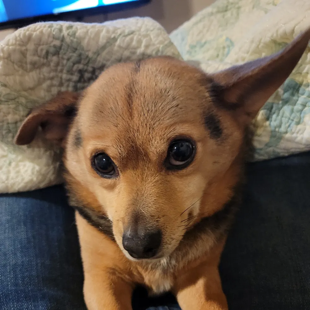 ginainsrq.bsky.social's profile picture