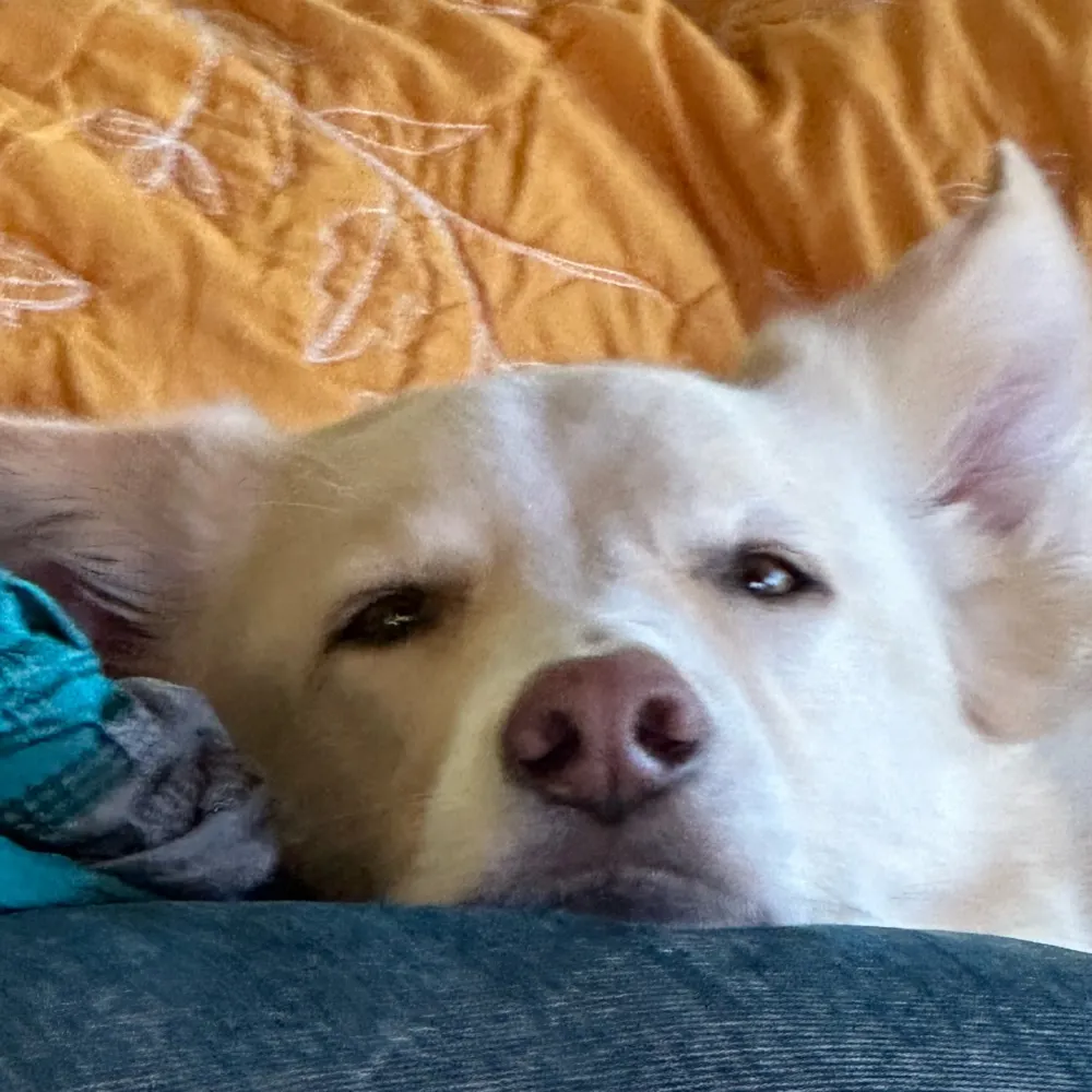 getamop.bsky.social's profile picture