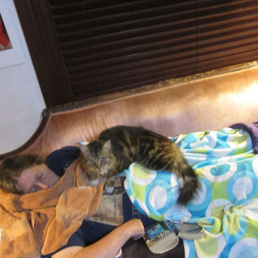 lauowolf.bsky.social's profile picture