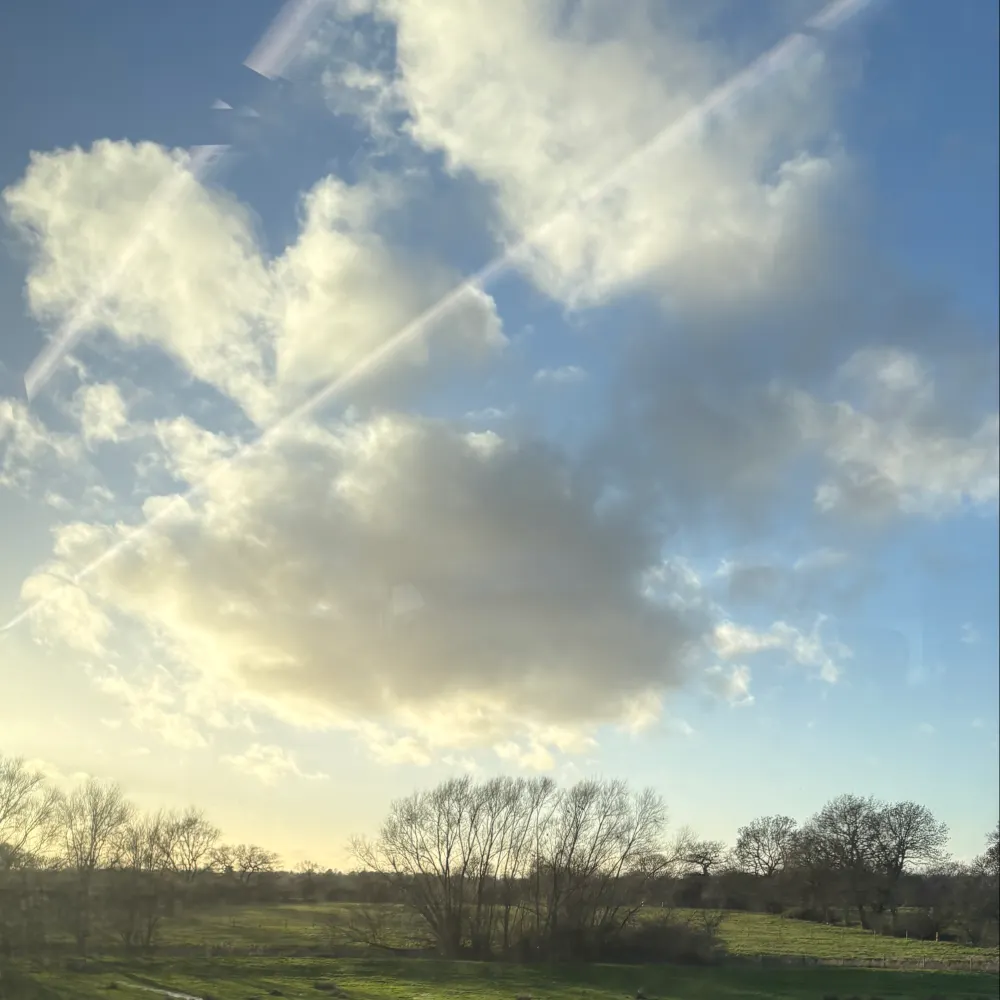 heyyitsalliee.bsky.social's profile picture