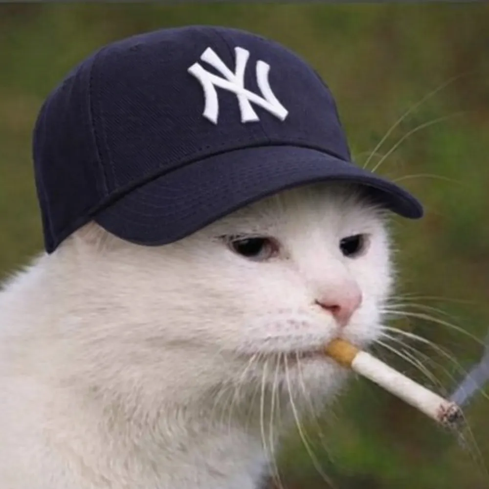 milkman.bsky.social's profile picture