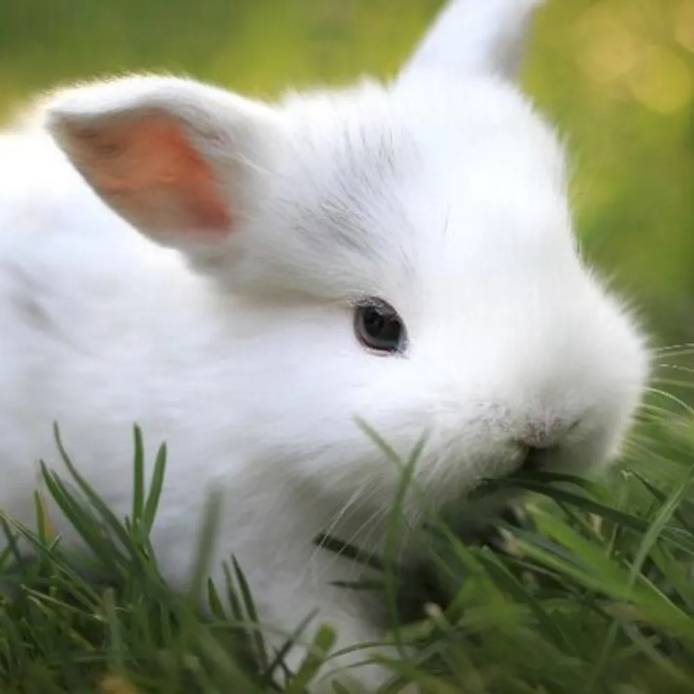 ml8ml8.bsky.social's profile picture