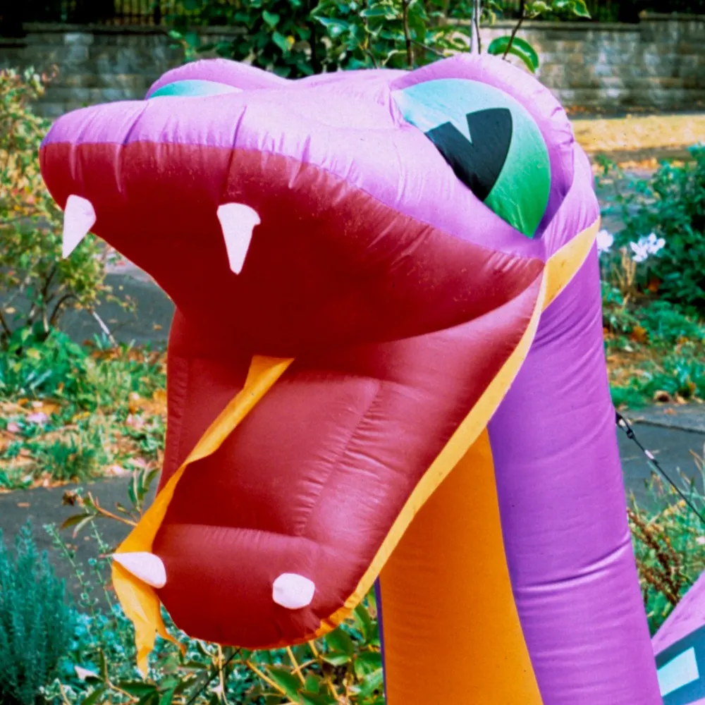 12xu.bsky.social's profile picture