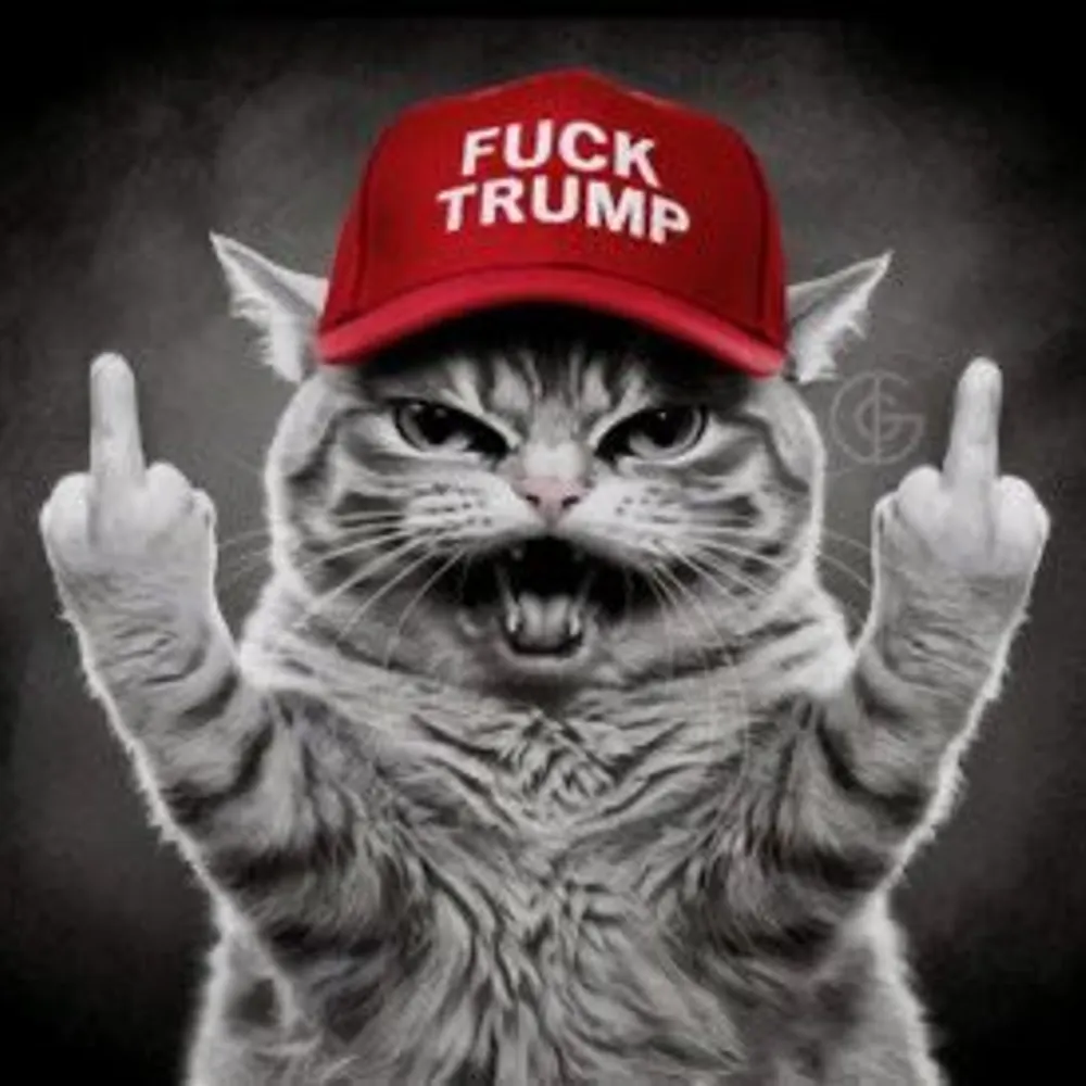 yellowbeard59.bsky.social's profile picture