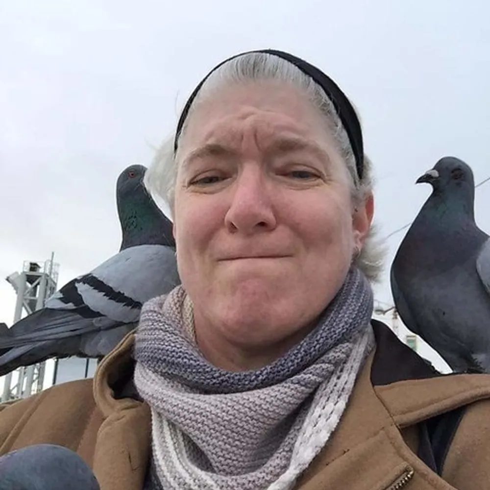 beentsy.bsky.social's profile picture