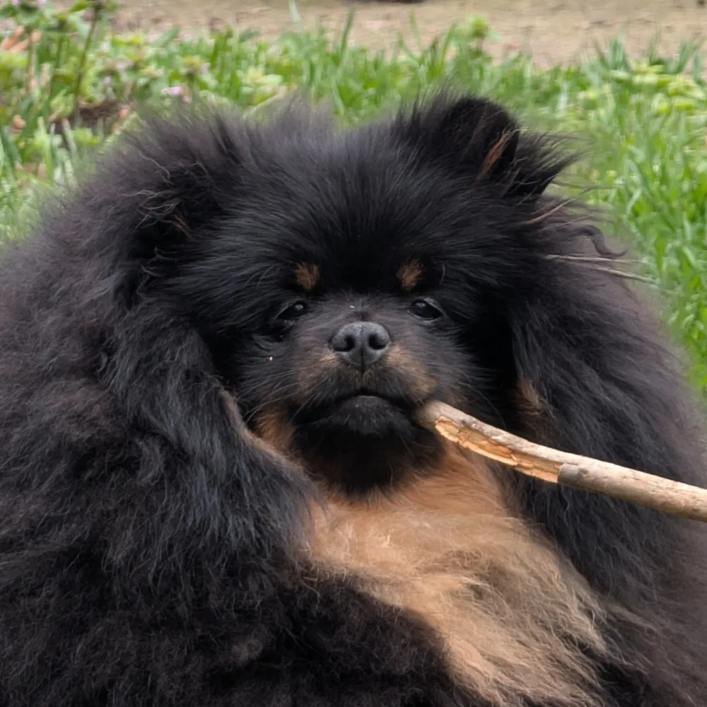 d8i.com's profile picture