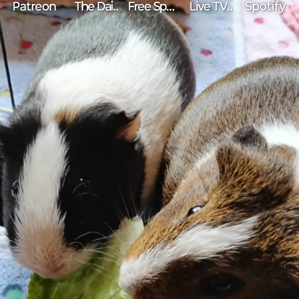 f72clancy55.bsky.social's profile picture