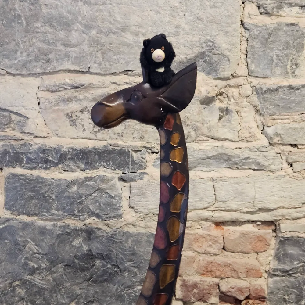 shadrachnorth.bsky.social's profile picture