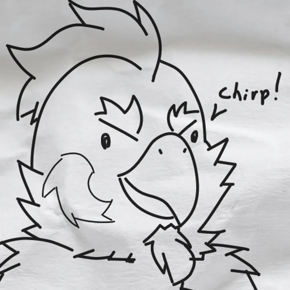 saiterfroha.bsky.social's profile picture