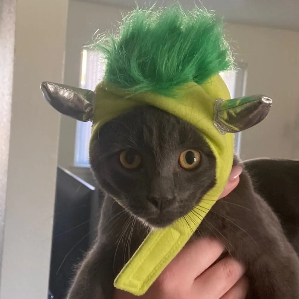 dabxdee.bsky.social's profile picture