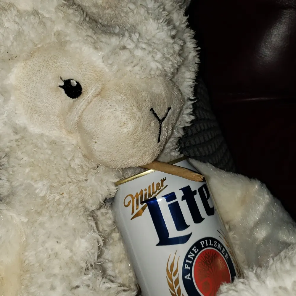 thehectorer.bsky.social's profile picture