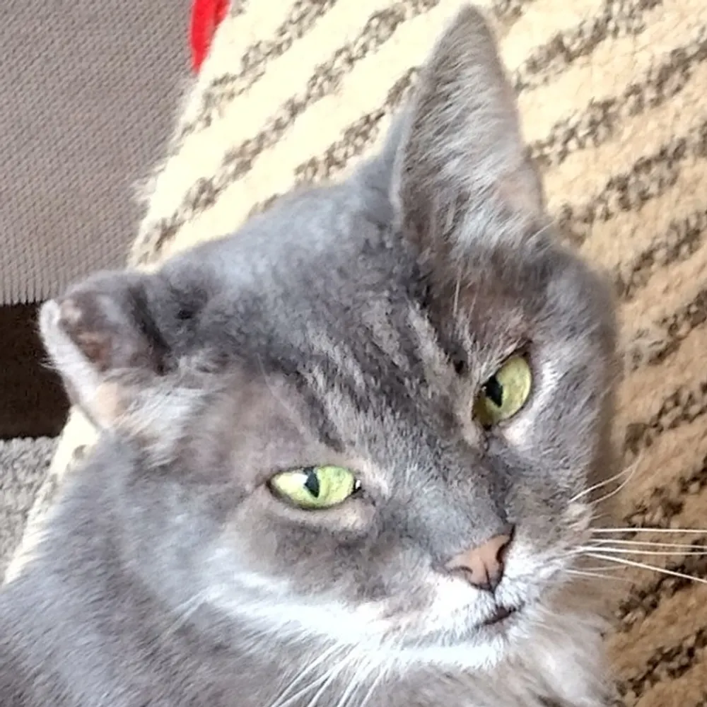 denwig.bsky.social's profile picture