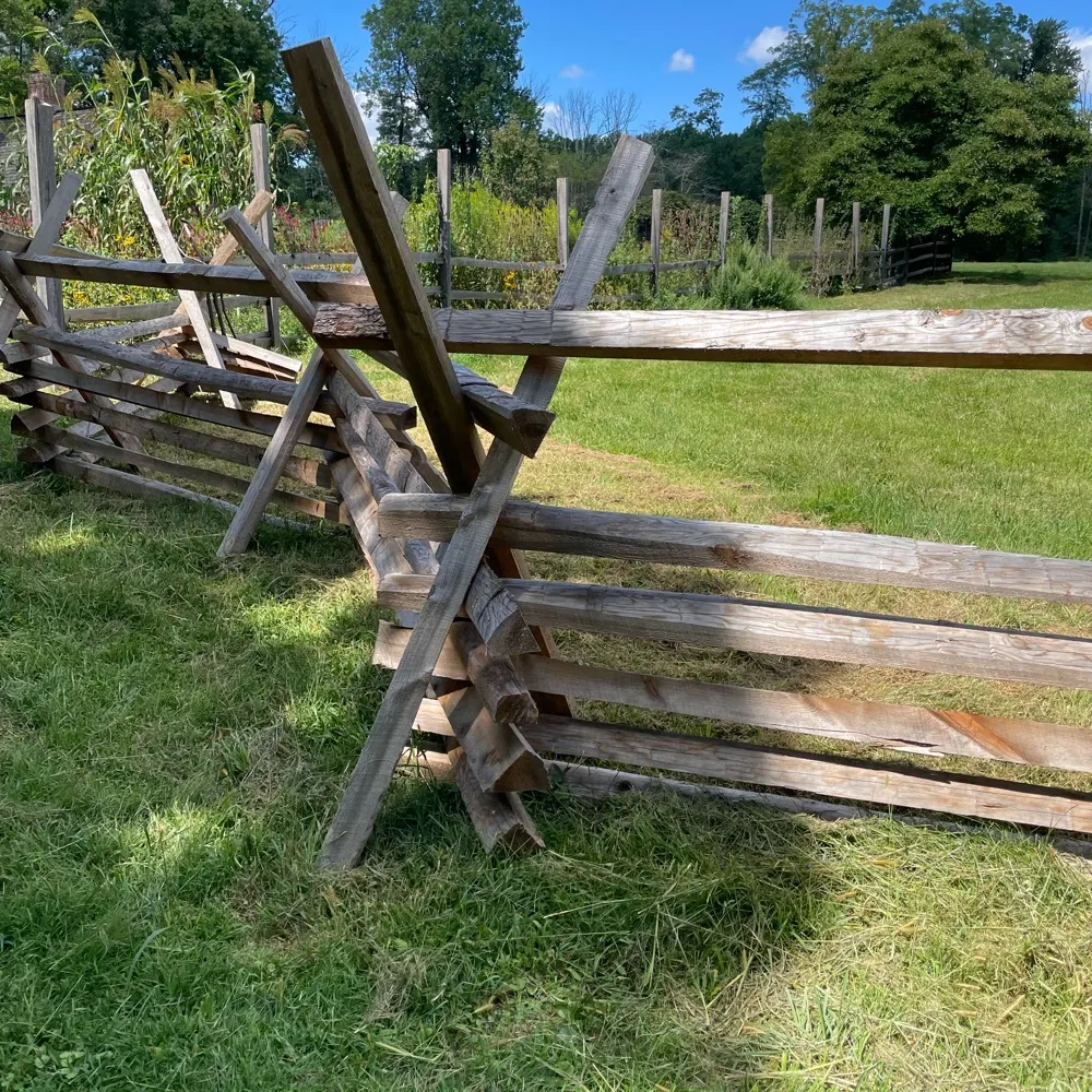 j0iseyt0mat0.bsky.social's profile picture