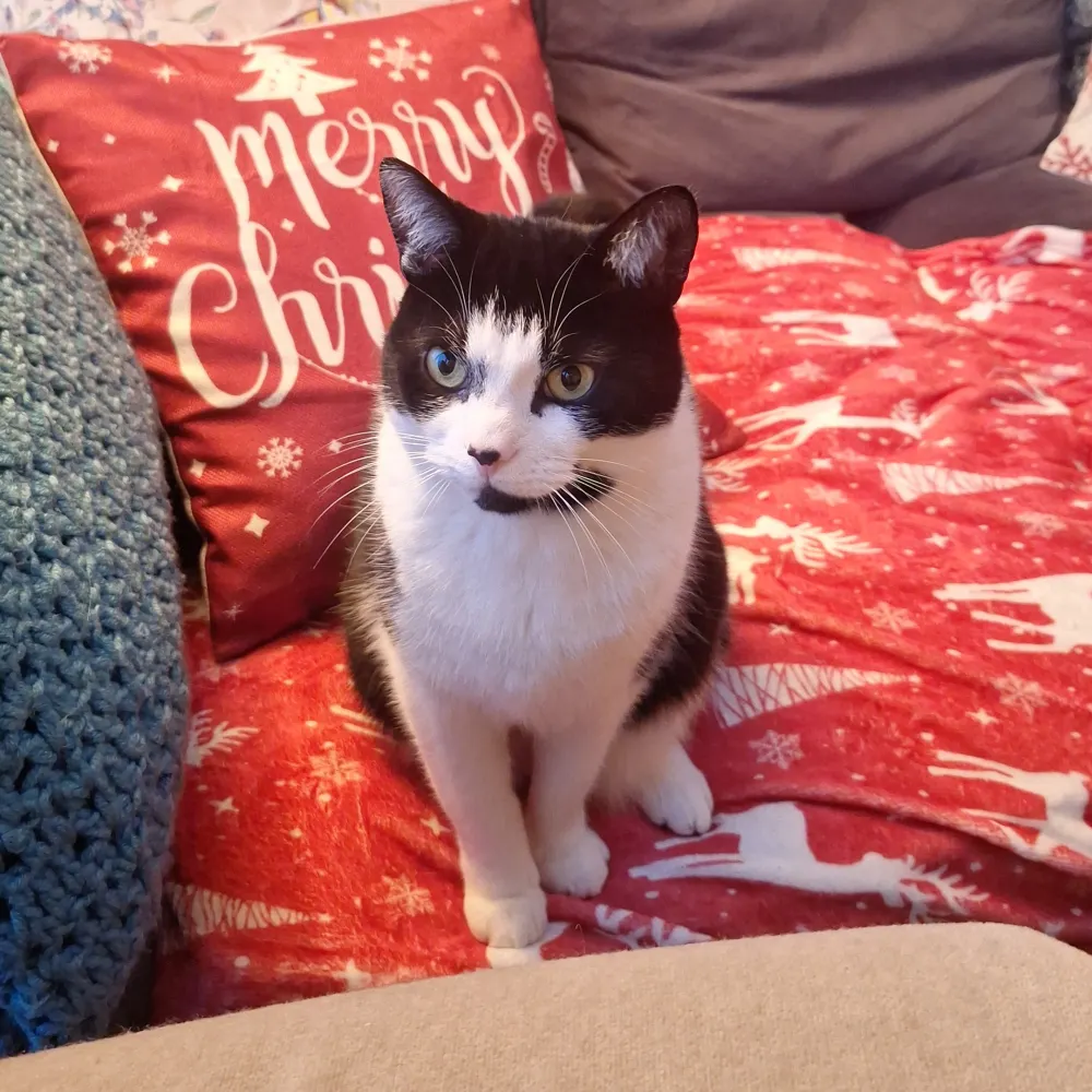 arn99.bsky.social's profile picture