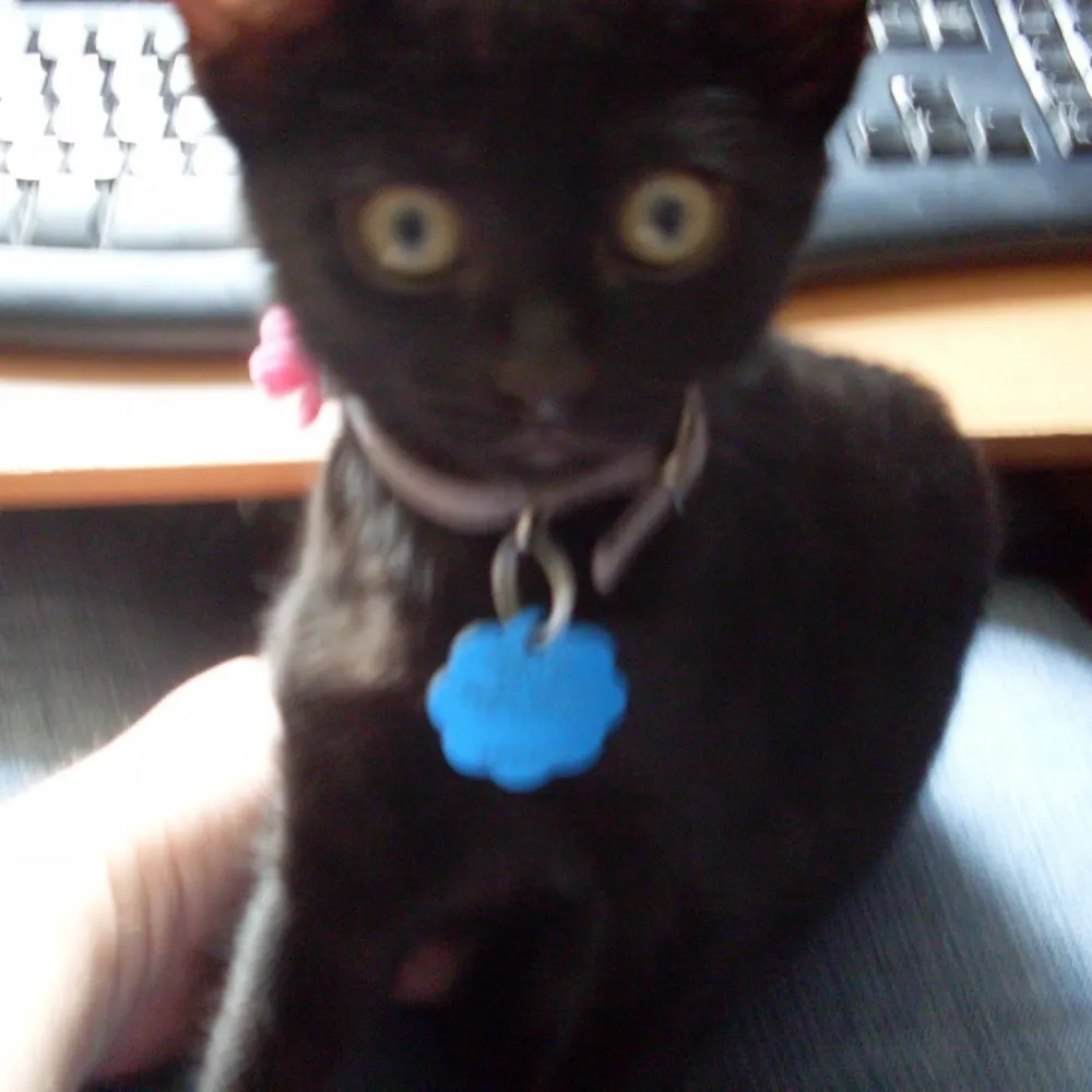 queenofnopants.bsky.social's profile picture