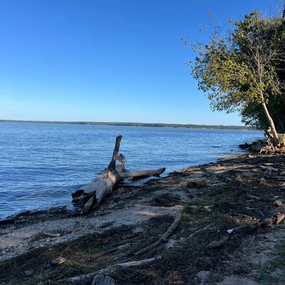 mgnfcnt.bsky.social's profile picture