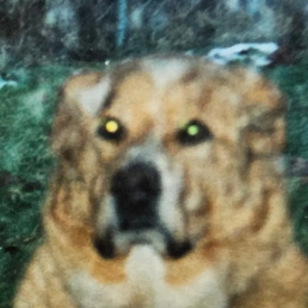 keffy.bsky.social's profile picture