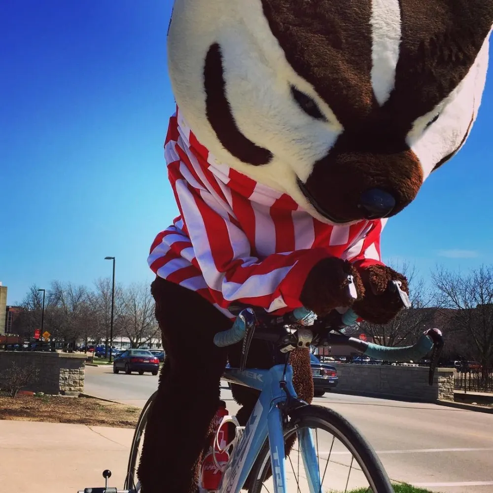 buckyhinault.bsky.social's profile picture