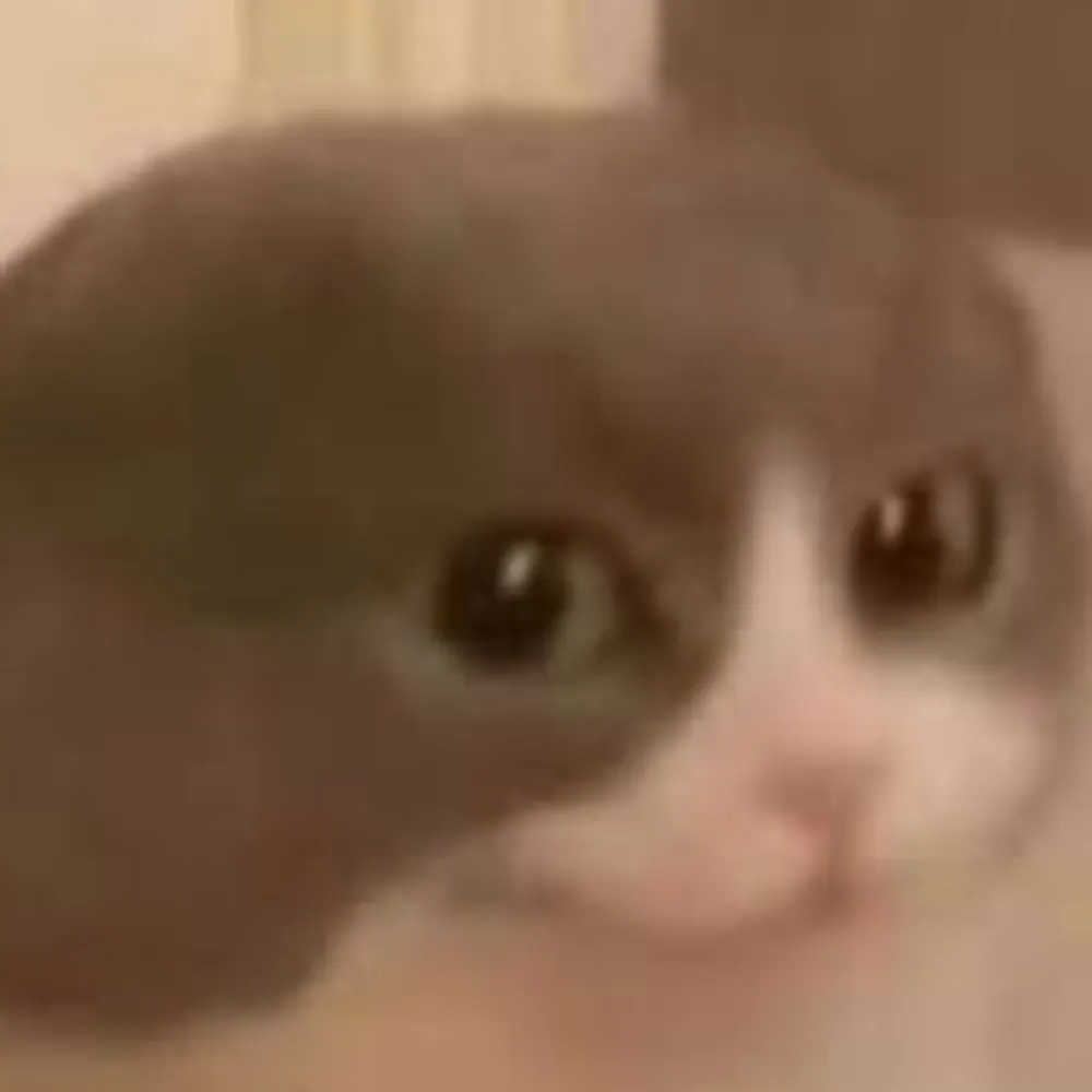 dasherjack.bsky.social's profile picture