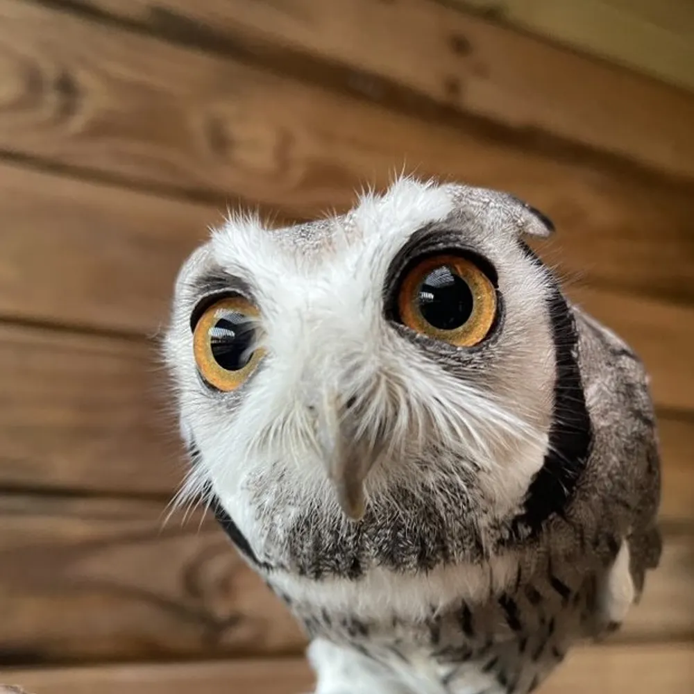 metricfuture.bsky.social's profile picture