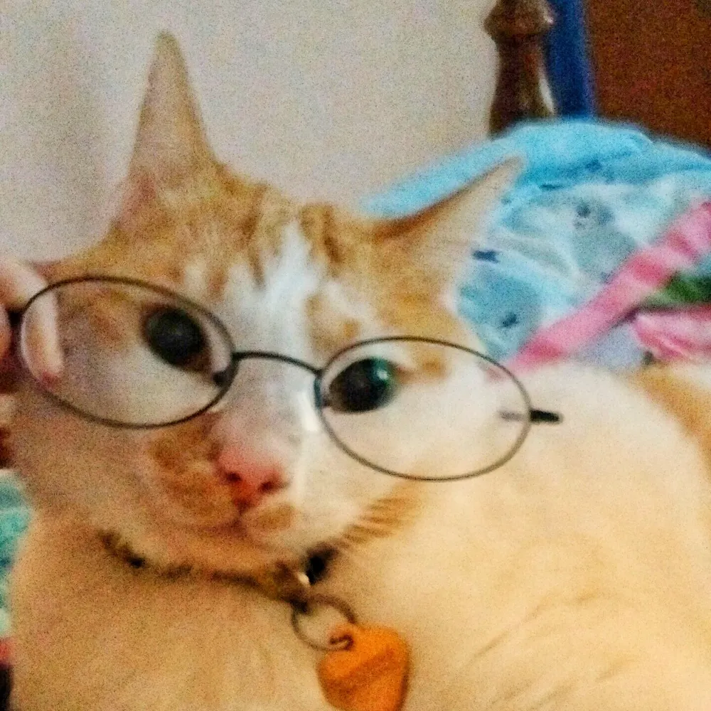 thetreezz.bsky.social's profile picture