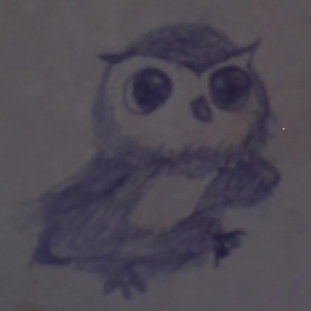 jazzrat2000.bsky.social's profile picture