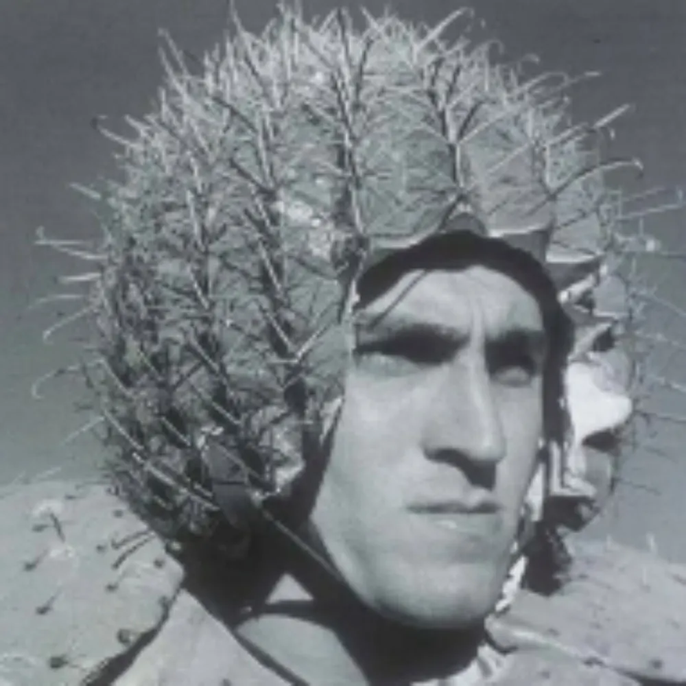 spicolisdad.bsky.social's profile picture