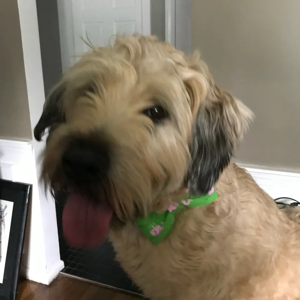 kbethany.bsky.social's profile picture